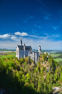 Trees and plants against blue sky