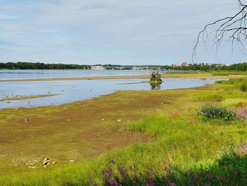 Scenic view of lake against sky