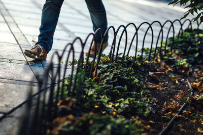 Low section of man walking by fence on footpath