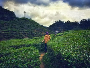 Rear view of man working on agricultural field against sky