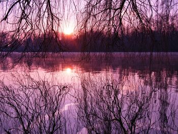 Reflection of bare trees on lake during sunset