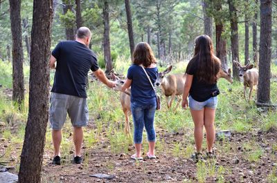 Rear view of family feeding stags while standing in forest