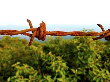 Close-up of barbed wire on fence against sky