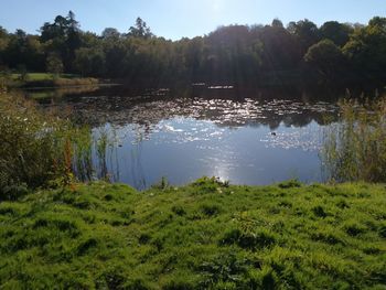 Scenic view of lake and trees against sky