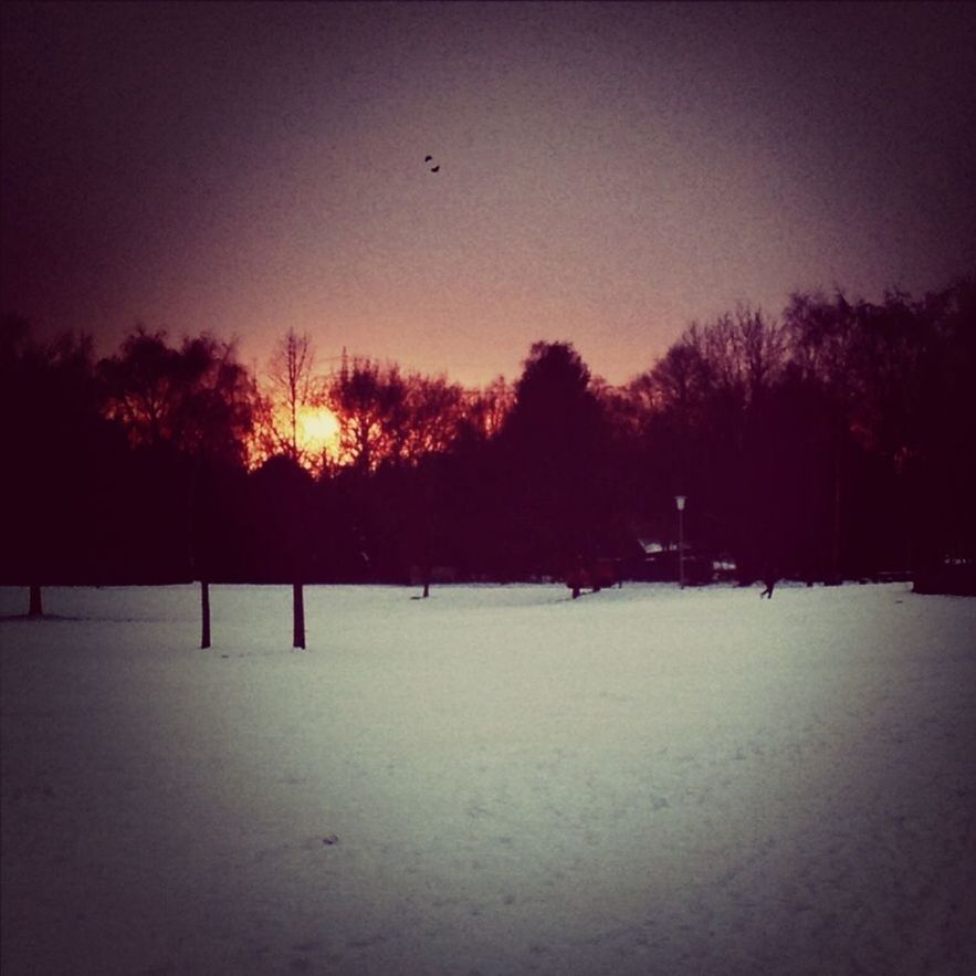 snow, winter, cold temperature, sunset, tree, season, silhouette, tranquil scene, tranquility, weather, scenics, beauty in nature, nature, landscape, covering, field, sky, orange color, bare tree, dusk