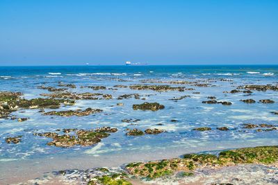 Scenic view of sea against clear blue sky