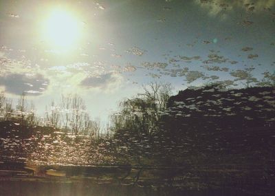 Reflection of trees in water