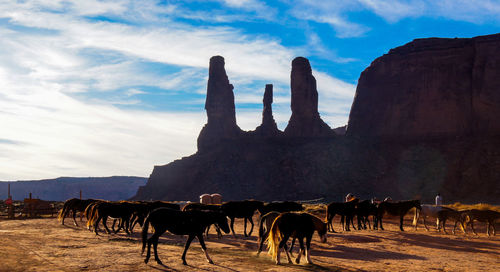 Horses on mountain against sky