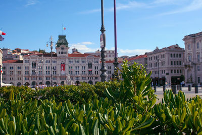 Buildings in a city