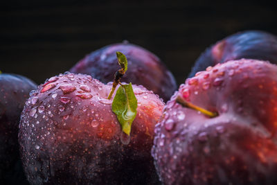 Close-up of water drops on fruit