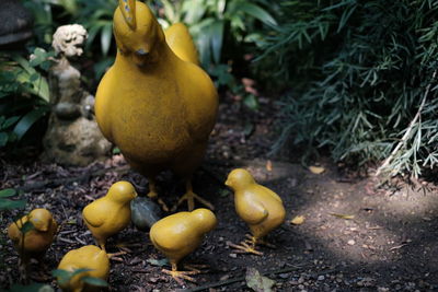 Close-up of yellow statues on ground