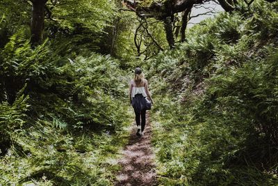 Young woman walking amidst trees in forest