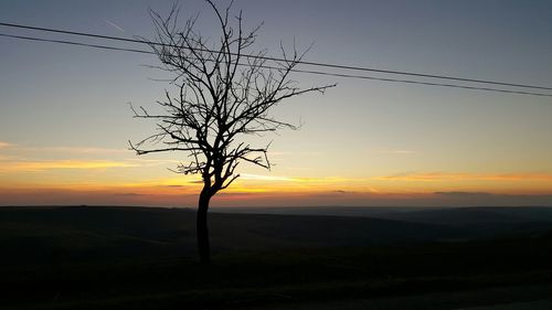 Bare trees on landscape at sunset