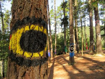 Panoramic view of tree trunk against sky