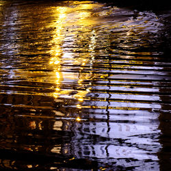 Reflection of trees in water