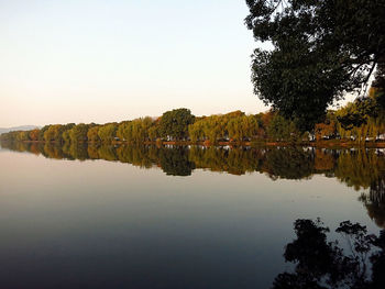 Reflection of trees in lake against clear sky