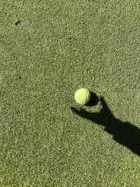 High angle view of sunlight falling on field with shadow