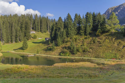 Scenic view of trees by lake in forest against sky