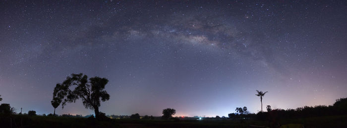 Low angle view of silhouette trees against star field