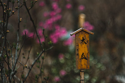 Close-up of bird perching on birdhouse