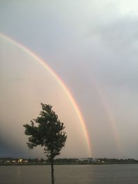 Scenic view of rainbow over trees against sky