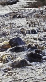 Rocks in water