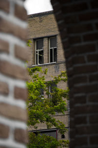 Low angle view of house