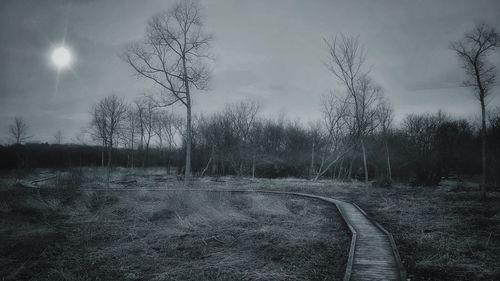 Bare trees on field against sky