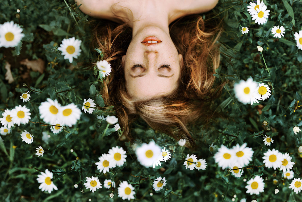 flower, fragility, freshness, daisy, petal, flower head, blooming, white color, yellow, growth, beauty in nature, plant, person, nature, lifestyles, high angle view, in bloom, focus on foreground