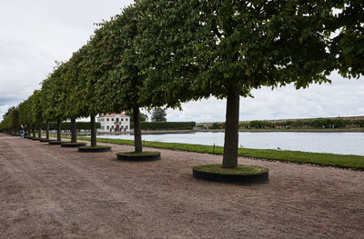 Trees by river against sky