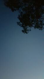 Low angle view of trees against clear blue sky