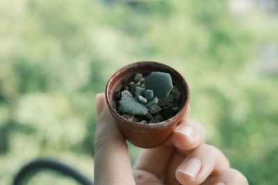 Close-up of hand holding ice cream