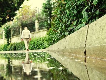 Rear view of man standing by swimming pool