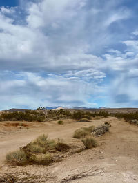 Scenic view of desert against sky