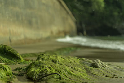 Close-up of water flowing through rocks