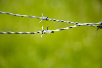 Close-up of barb wire against green field