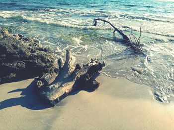 Close-up of hand swimming in sea