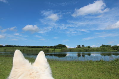 View of a lake against the sky between a dogs ears