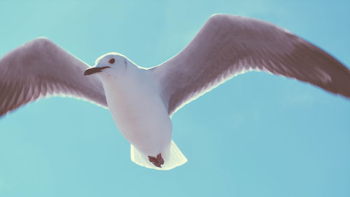 Low angle view of blue sky