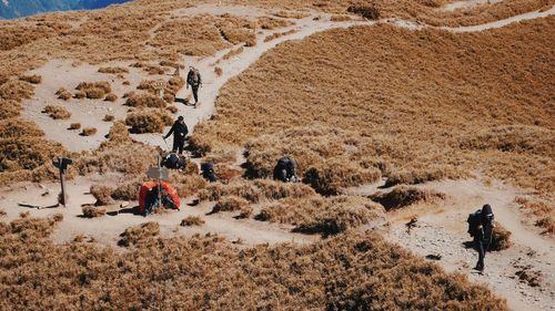 High angle view of people walking in desert