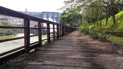 Walkway along trees