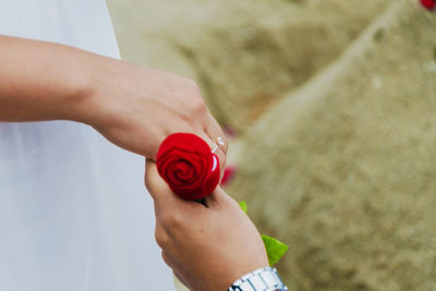 Midsection of woman holding red rose