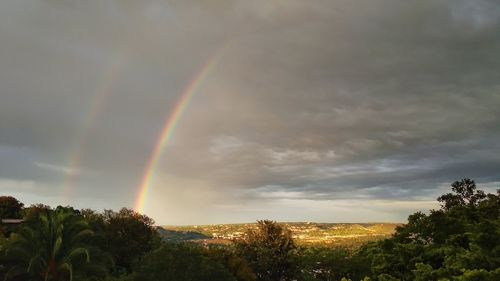 Rainbow over trees against sky during sunset