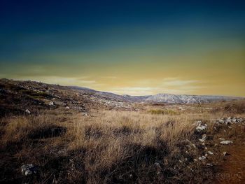 Scenic view of landscape against sky