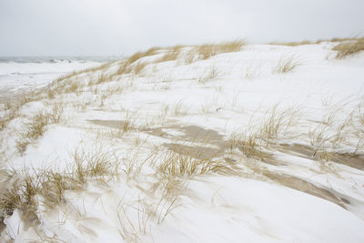 Close-up of snow covered landscape against sky