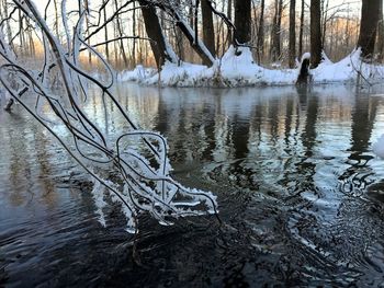 Bare tree by lake against sky during winter