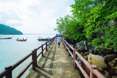 Rear view of people on boat by trees against sky