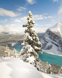 Snowy lake louise, banff, albert, canada