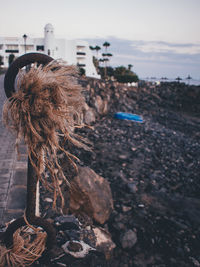 Rear view of woman on rock against sky