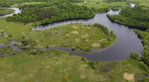 High angle view of lake amidst trees